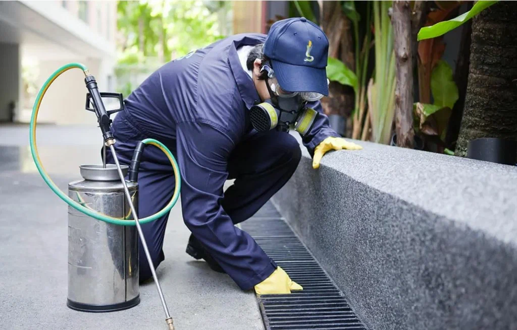 Pest control Canberra professionals offering comprehensive solutions for all types of infestations.